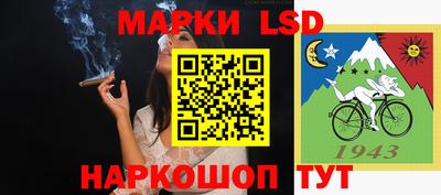 спиды Аргун