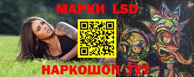 спиды Аргун