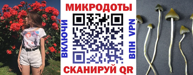 Галлюциногенные грибы GOLDEN TEACHER  хочу   Балахна 