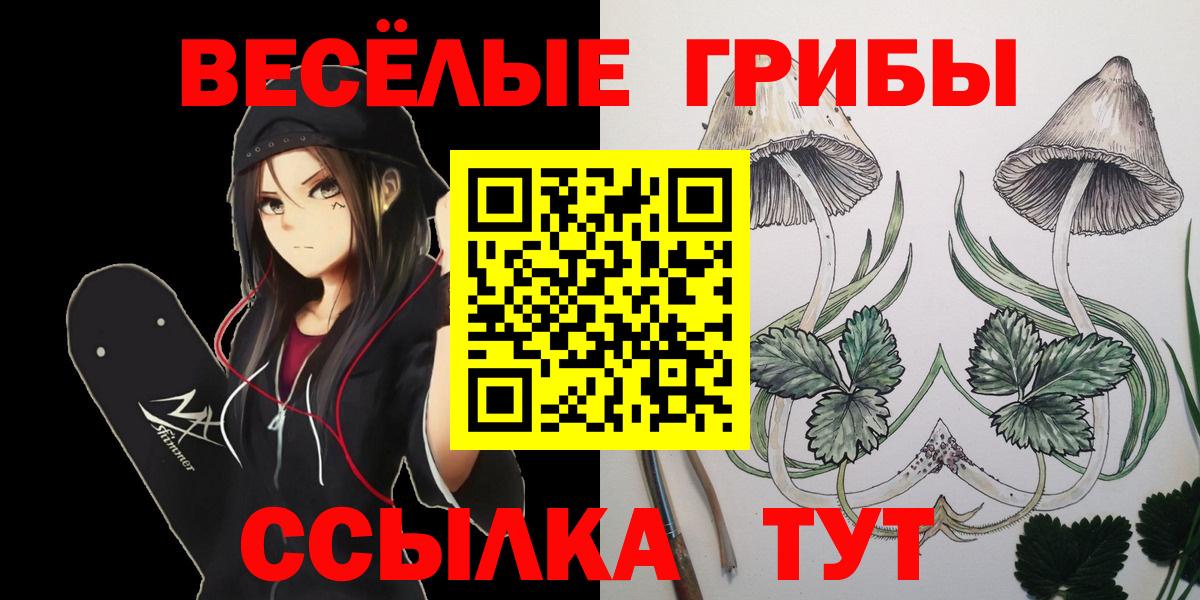 Псилоцибиновые грибы Psilocybe Балахна